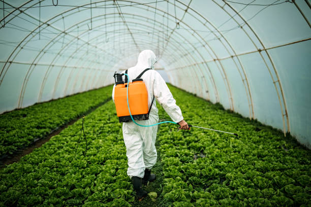 Best Commercial Pest Control Services  in South Hill, WA